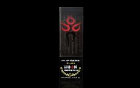 2011品牌中国行业年度人物